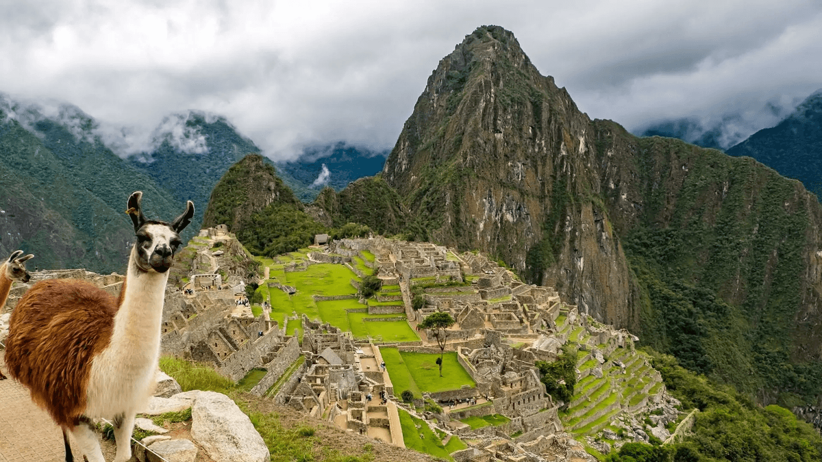 Machu Picchu: La Ciudadela del Inca